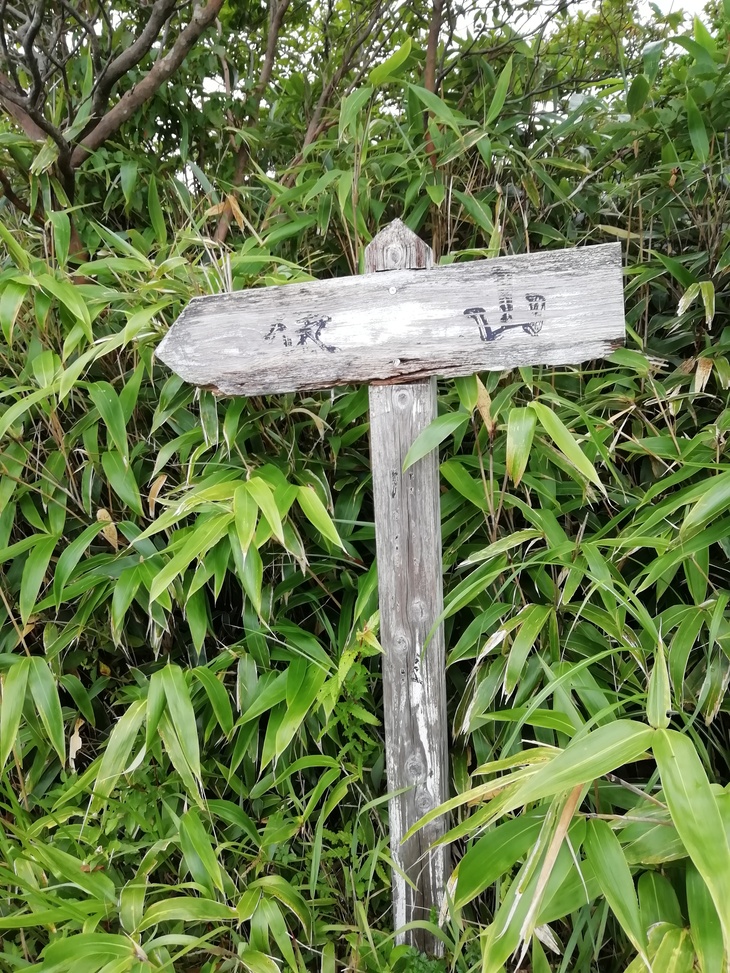 f0193521_8583312.jpg