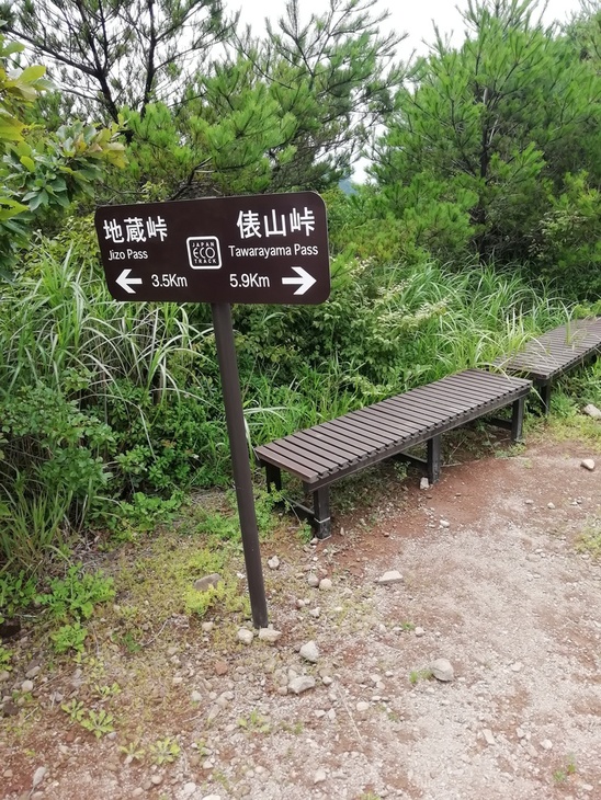 f0193521_925353.jpg