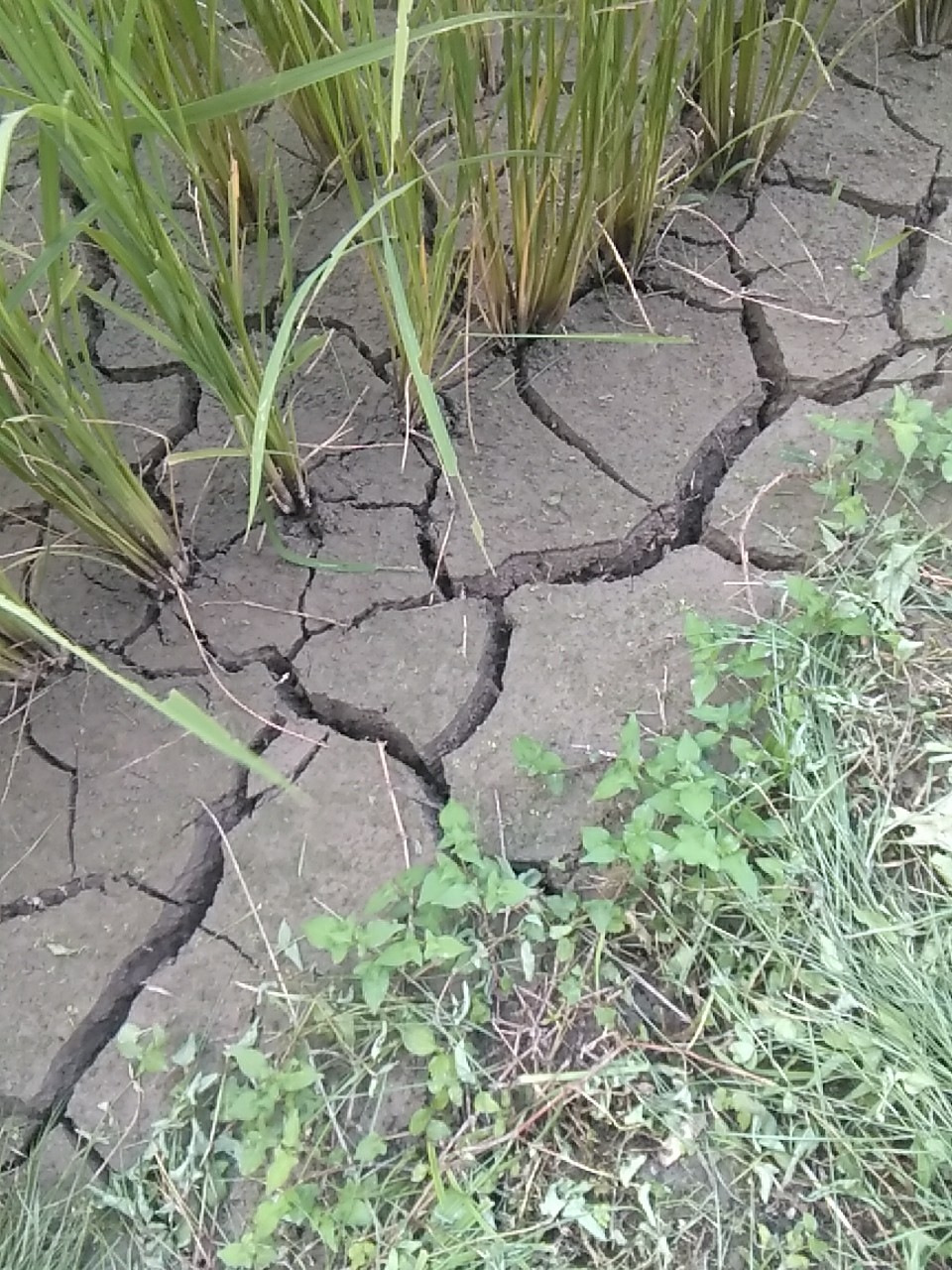 c0280730_08485663.jpg