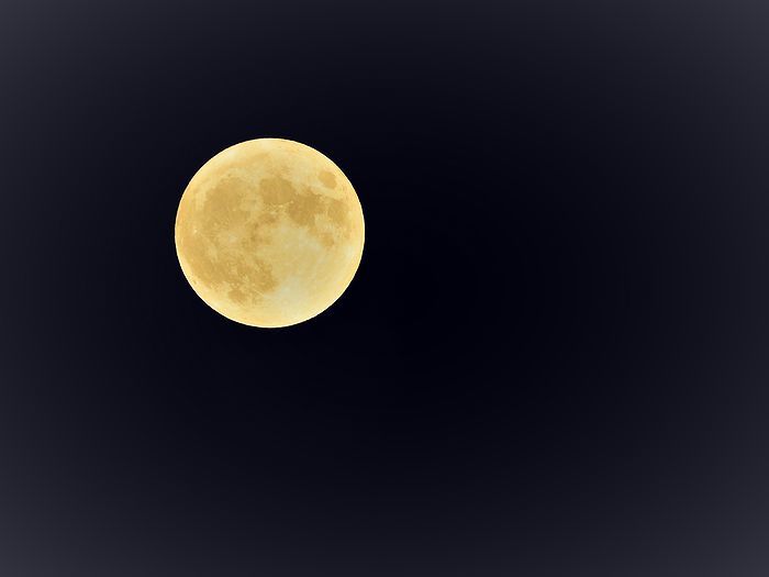 a0354432_20154042.jpg