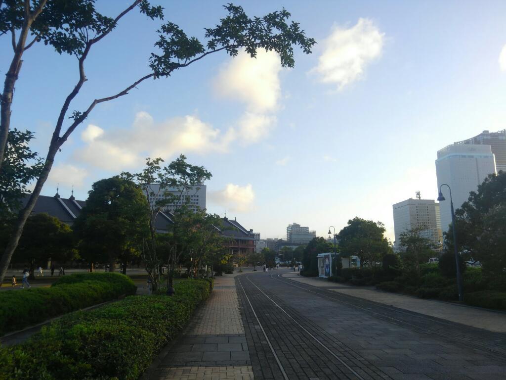 画像情報