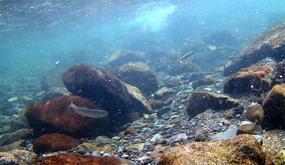 a0056140_15400783.jpg