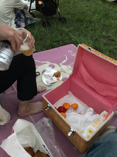 花火大会も終わった~夏もお終いね~_a0279743_11151931.jpg
