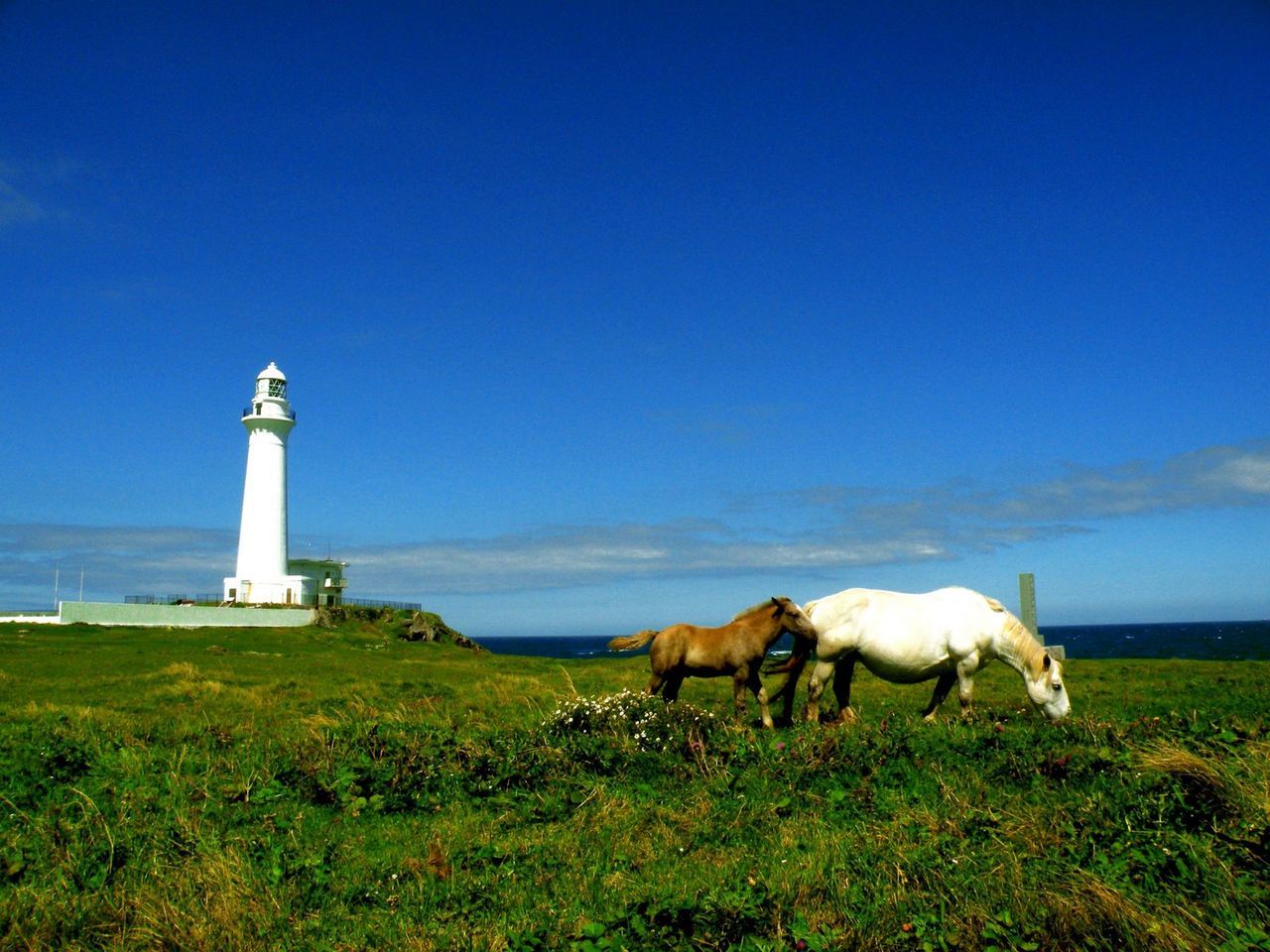 c0343447_22474559.jpg