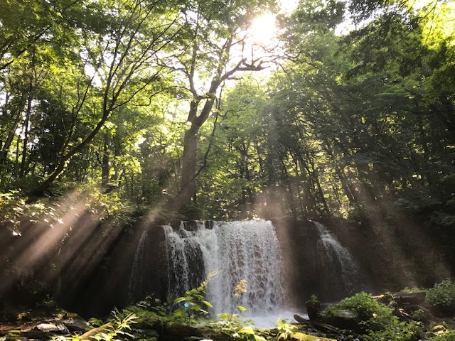 c0343447_23553318.jpg