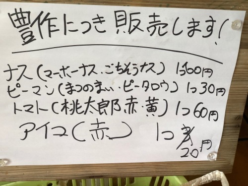 台風10号の影響で野菜達を多めに収穫　お食事のお客様には販売いたします_c0222448_12303593.jpg