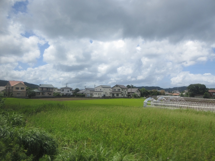 【房総半島一周】木更津から館山まで【内房線】_b0009849_11532963.jpg