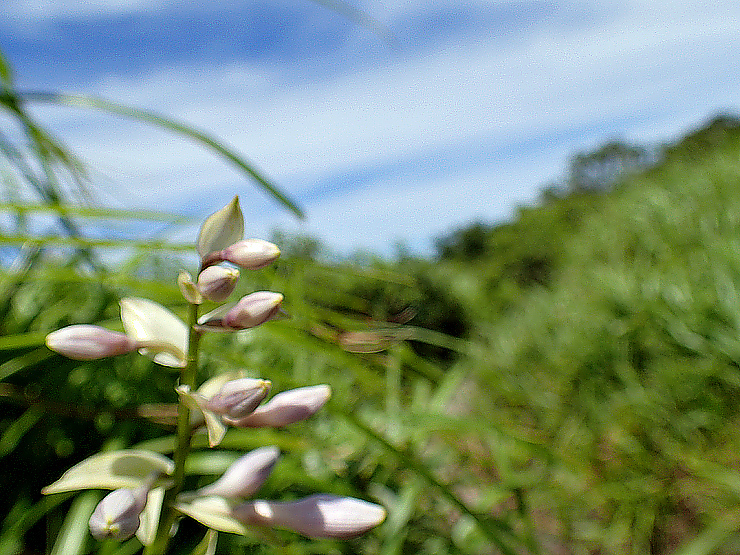 f0214649_04061440.jpg