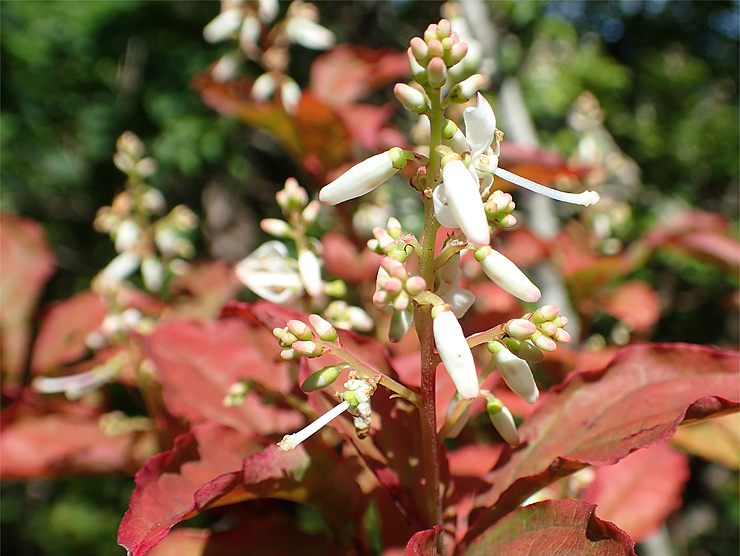 f0214649_04062287.jpg