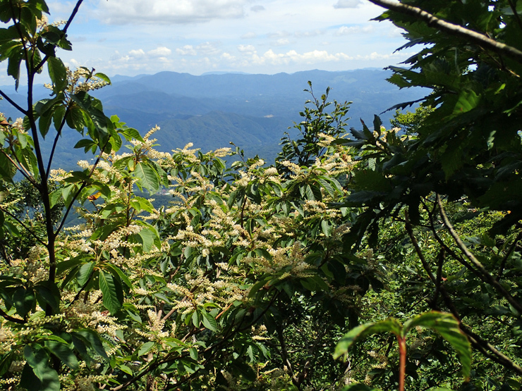 f0214649_04121763.jpg