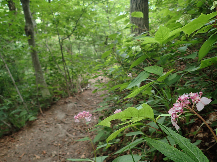 f0214649_04131133.jpg