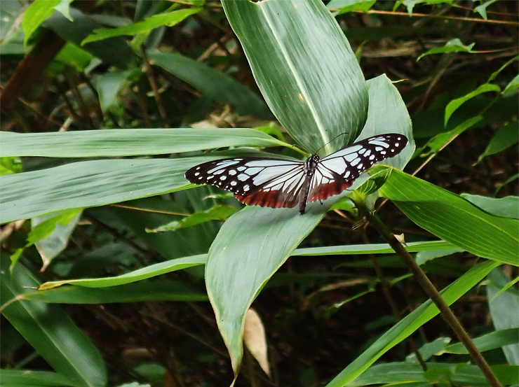 f0214649_04191666.jpg