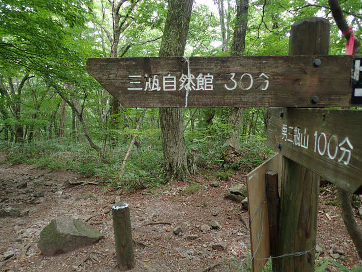 f0214649_04211612.jpg