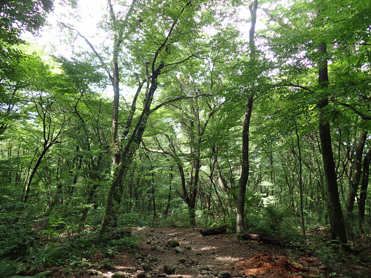 f0214649_04215974.jpg