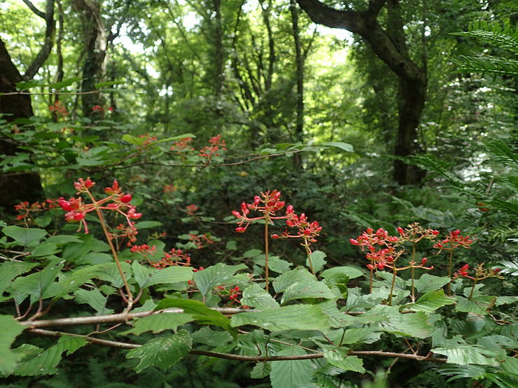 f0214649_04254060.jpg