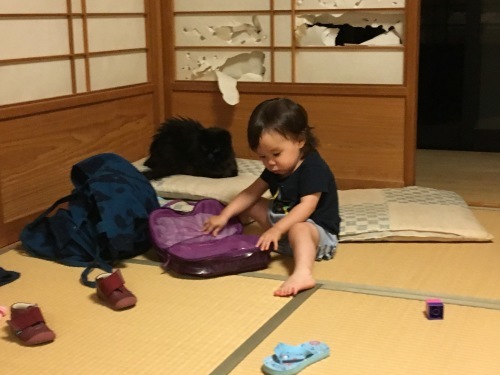 a0152454_07570456.jpeg