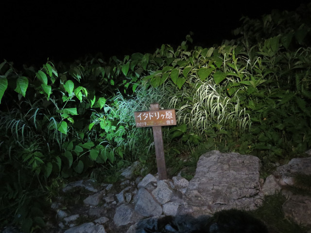 c0116856_11362966.jpg