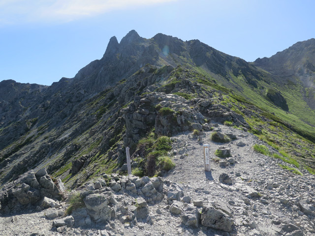 c0116856_11514663.jpg