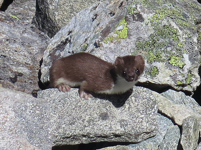 c0116856_12131881.jpg