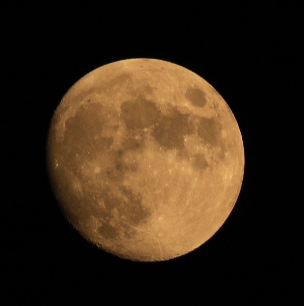 a0248459_04011981.jpg