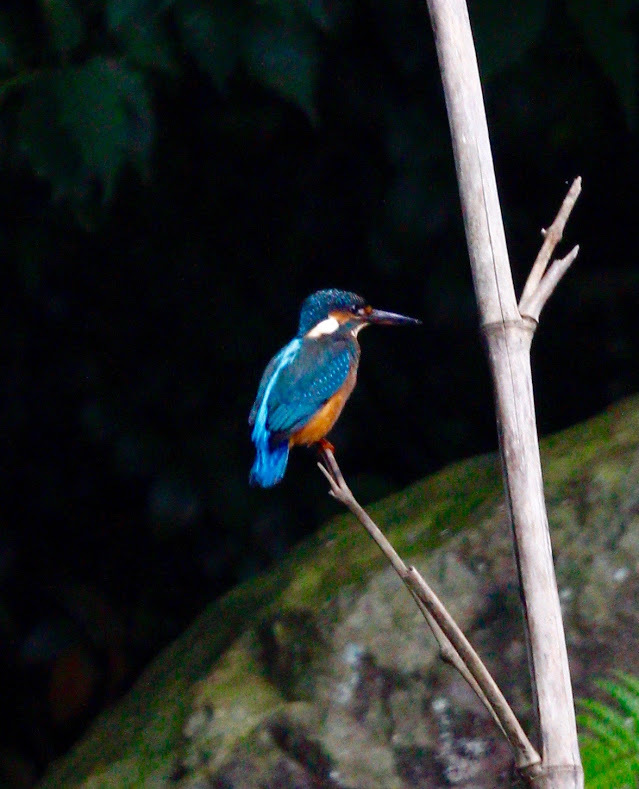 a0248459_04041575.jpg