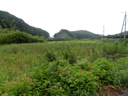 ’19,8,15(木)田舎道には蝉も秋の虫も~!_f0060461_07141840.jpg