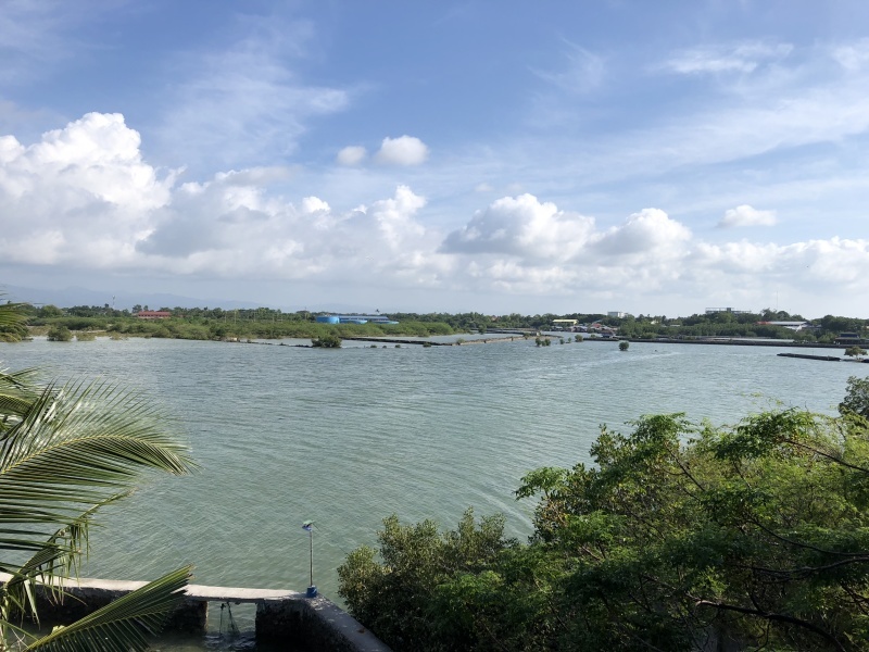 a0023466_05024845.jpg