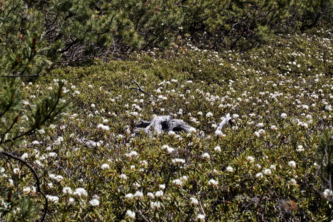 e0071967_92549100.jpg