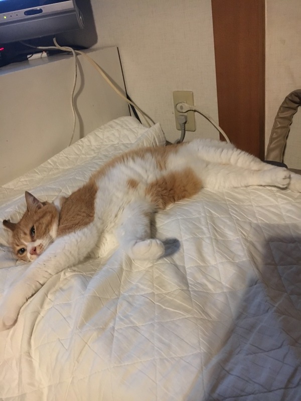 f0363168_21463833.jpeg