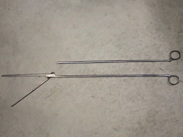 c0105569_00304815.jpg