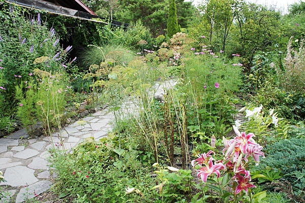 e0177271_09033514.jpg