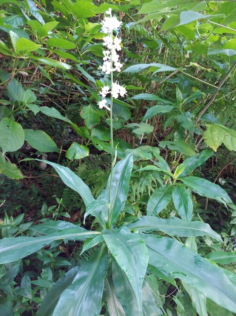 c0162773_10471038.jpg