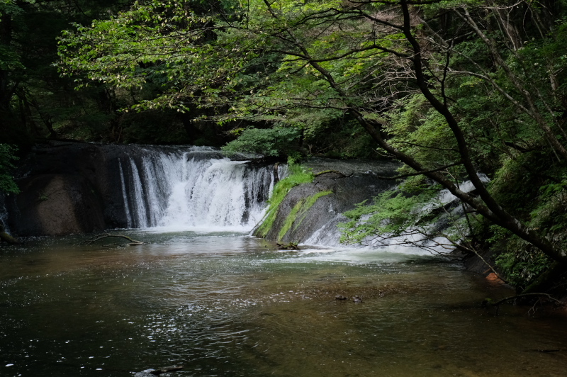 e0015174_21150610.jpg