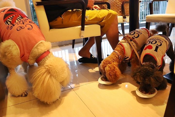 ⑮凜香さんからのサプライズ!_b0111376_17480999.jpg