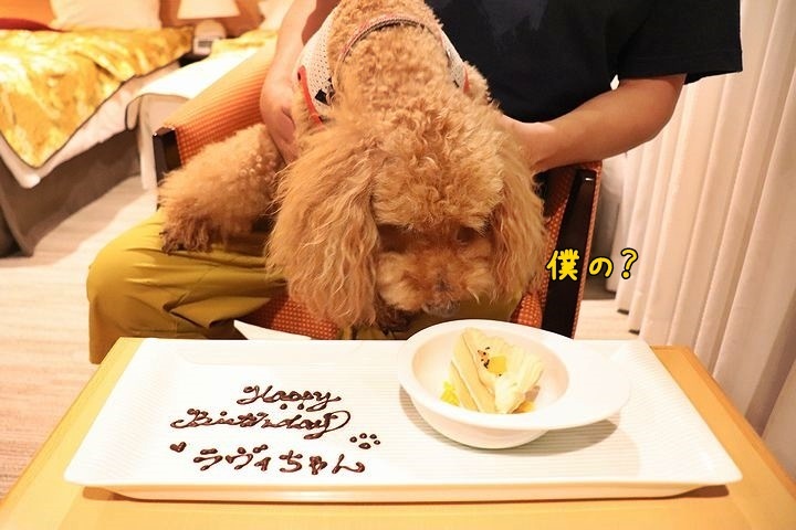 ⑮凜香さんからのサプライズ!_b0111376_18343397.jpg