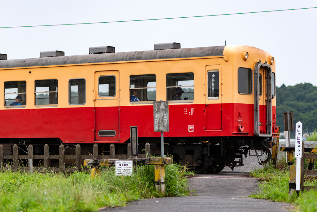 f0014380_10112748.jpg