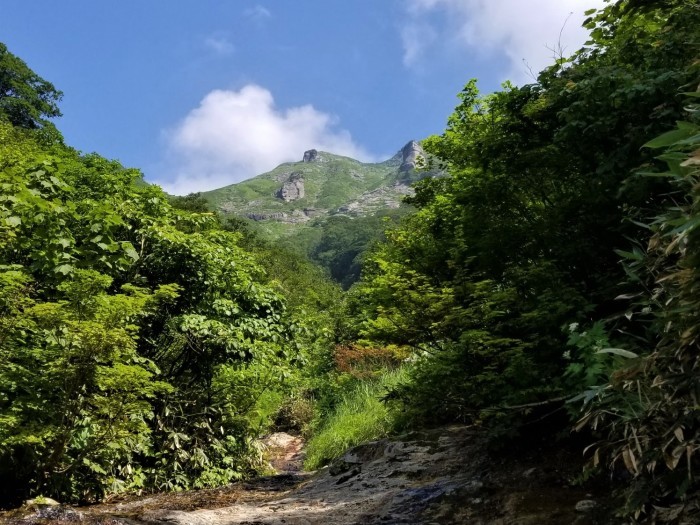 谷川連峰・白毛門沢 ～ ２０１９年８月４日_f0170180_10382282.jpg