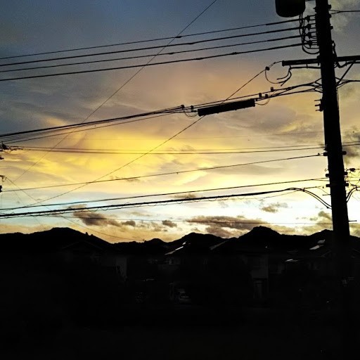 f0185981_20581807.jpg