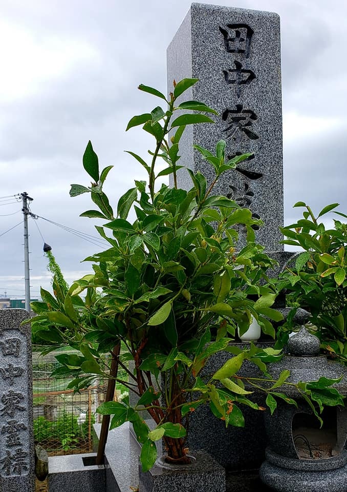 c0186691_14345024.jpg