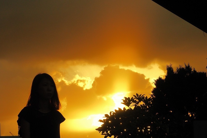 スカイツリーアリーナからの夕景_e0348392_22513078.jpg