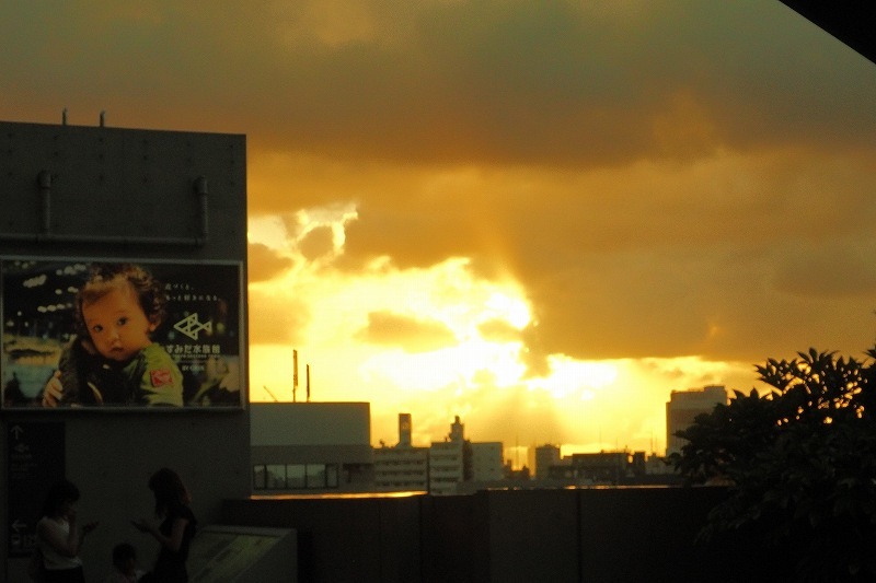 スカイツリーアリーナからの夕景_e0348392_22514058.jpg