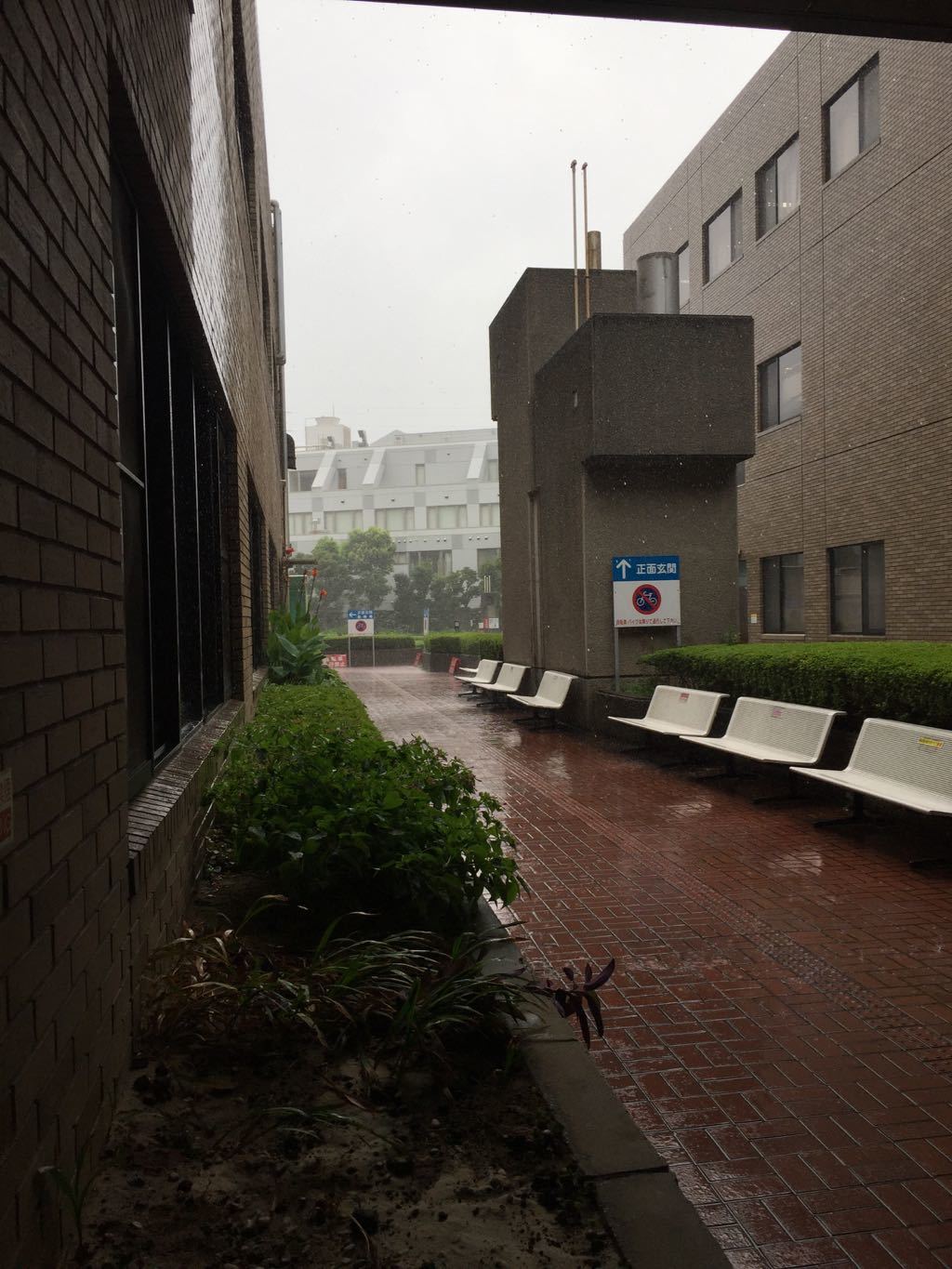 f0130894_20442819.jpg