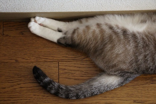 働き方それぞれ_a0333195_16021385.jpg
