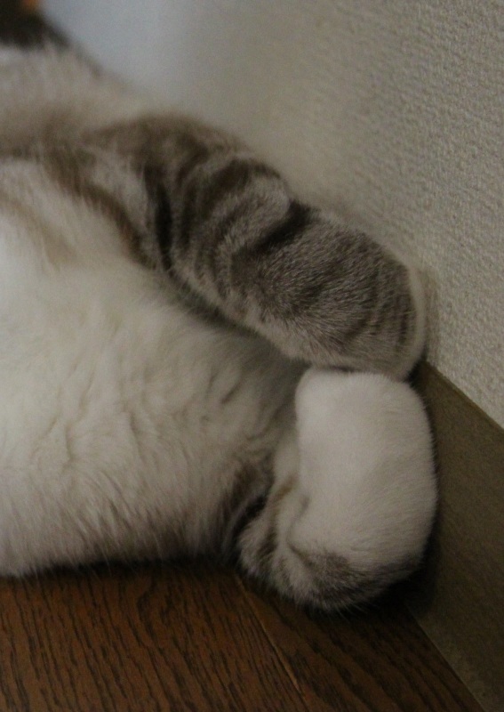 働き方それぞれ_a0333195_16113335.jpg