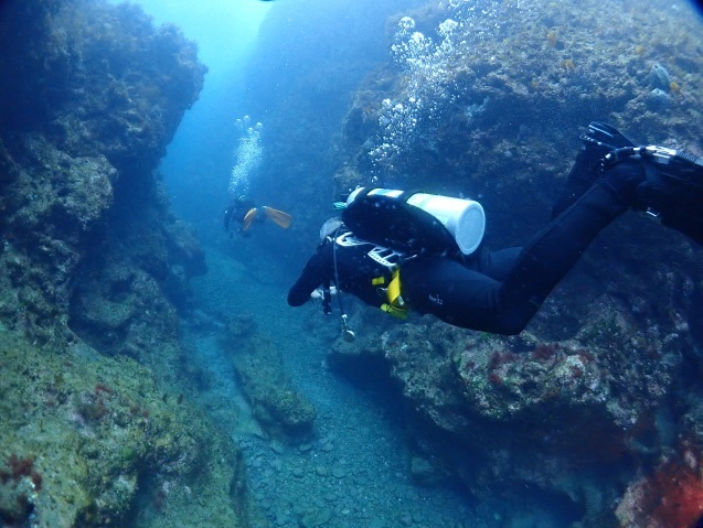e0115199_13145058.jpg