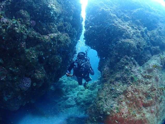 e0115199_13153265.jpg