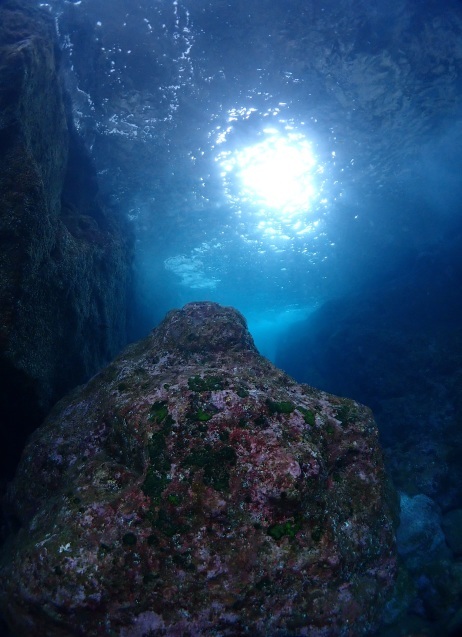 e0115199_13160692.jpg