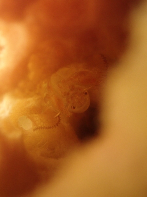 e0115199_13214040.jpg