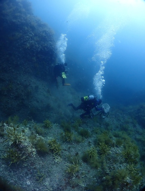 e0115199_14155215.jpg