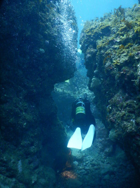 e0115199_14231256.jpg